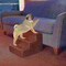Pet Adobe Pet Adobe High Density Foam Stairs 3 Step Design, Ramp for Small Dogs, Cats with Cover, Brown 330378VSG - alternate 6
